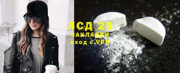 дурь Бородино