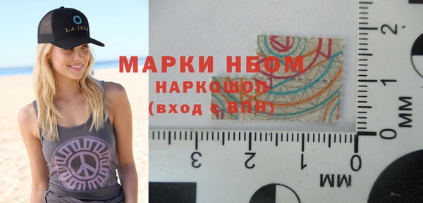 дурь Бородино