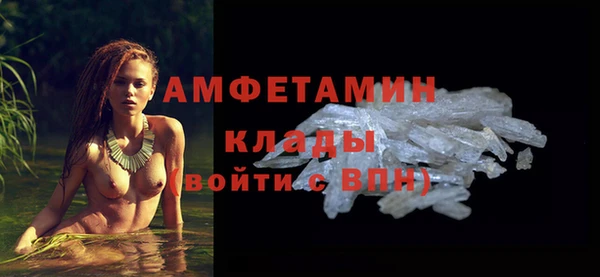 дурь Бородино