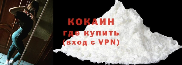 дурь Бородино