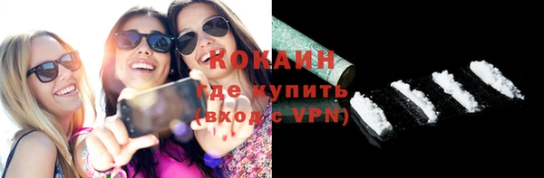 дурь Бородино