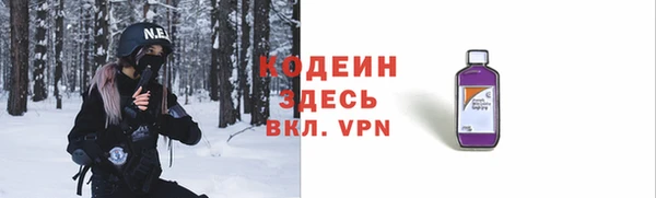 дурь Бородино