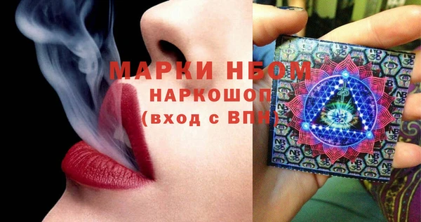 дурь Бородино