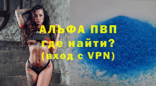 дурь Бородино