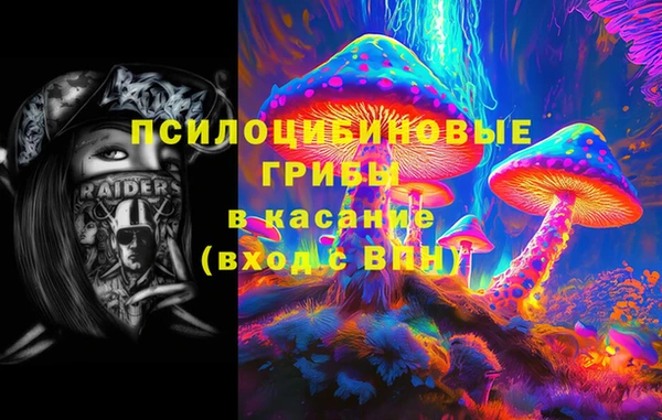 дурь Бородино