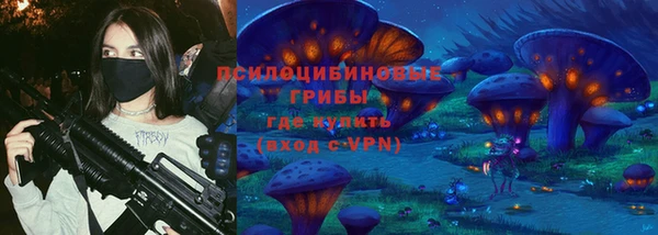 дурь Бородино