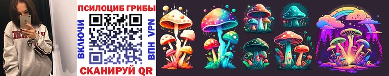 Галлюциногенные грибы Psilocybe  Купить закладки  Гвардейск 