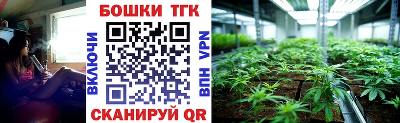 Купить  Гвардейск  МАРИХУАНА VHQ 